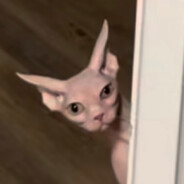 Kulis
