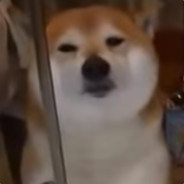 Comical Doge