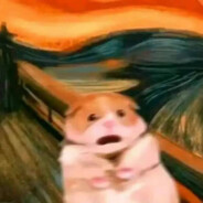 我要成为手把高手