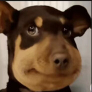 我是新手别给压力