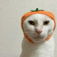 Mr Cat