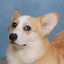 twodoor-