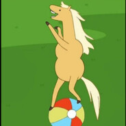 Cavalo amigável