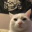 Jjaro