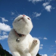 币圈新晋游资哥的腰子