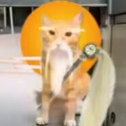哈气仙人