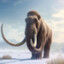 ♱mamut_synku♱