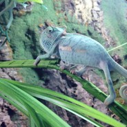 Kabumba  Jebac Ulane Kurwy