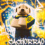 Cachorrao