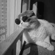 别打 新手 刚玩