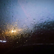 粉红色的星星羊