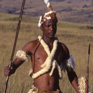 Zulu Ibutho