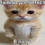 Molly_vhere