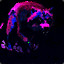 araignée2407