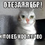 Котороебалась