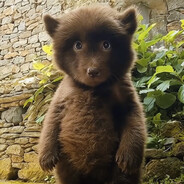 LEGEND BraZa - steam id 76561199539840677