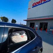 我有低保我养你