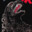 ITS 808