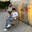 saltylow-