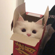 二十四小時睡不醒