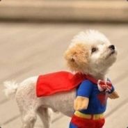 今天赢过吗，就开始奖