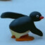 Send Noots