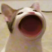 WASD