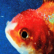 fish's Avatar