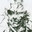 Big Boss