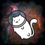 SpaceCAT