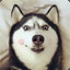 二狗