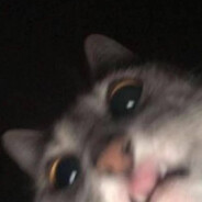 **********