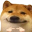 ヤン