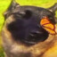 REAL ! Dog