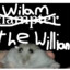 Wilam