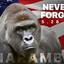 RIPHarambe