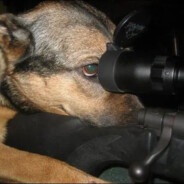 魅果校队菜续昆