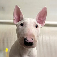 st4do - steam id 76561198045071885