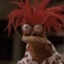 Pepe the Kingprawn