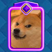 Evolution Doge