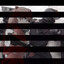 feDDoS