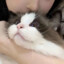 别失眠