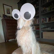 oog oog monkey mode engaged