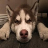 十万伏特电死你