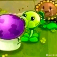 来自理塘的突破手