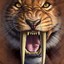-|SaberTooth|-