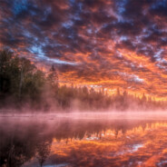 倾此一生只为伊人