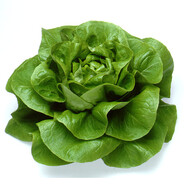KROPSLA
