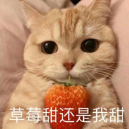 近親相姦息子に中出し