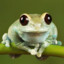 I love frogs